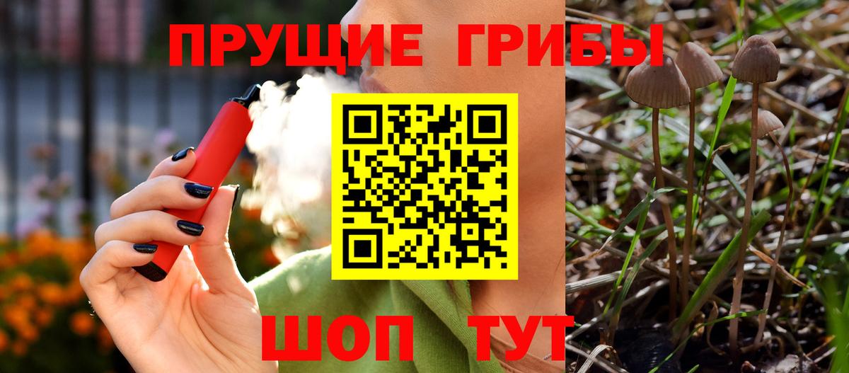 Казань  Галлюциногенные грибы GOLDEN TEACHER  Вход с VPN  наркотики  Галлюциногенные грибы Psilocybine cubensis 
